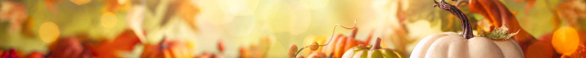 Et farverigt efterårsmiljø med flere forskellige græskar i orange, grøn og hvid. Nogle græskar er små, mens andre er større, omgivet af farverige visne blade. Baggrunden har en blød belysning, der skaber en varm og indbydende stemning.